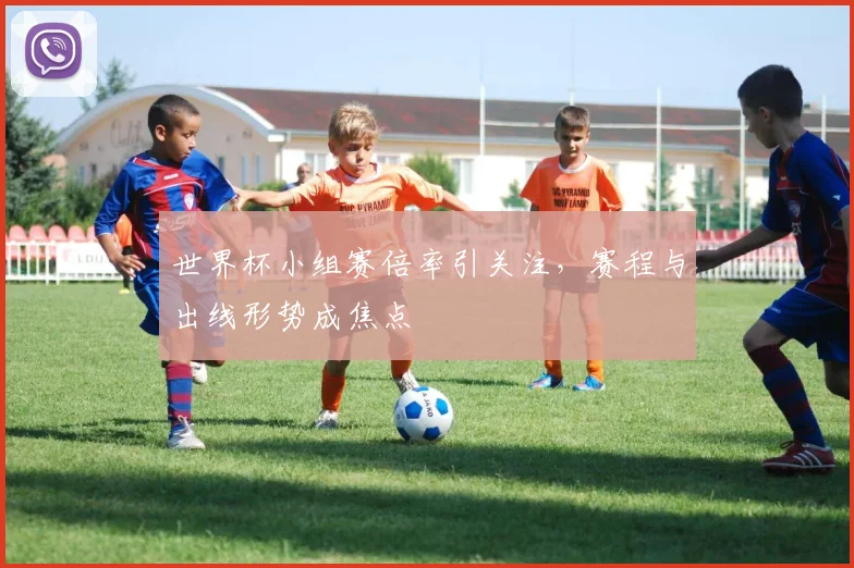世界杯小组赛倍率引关注，赛程与出线形势成焦点