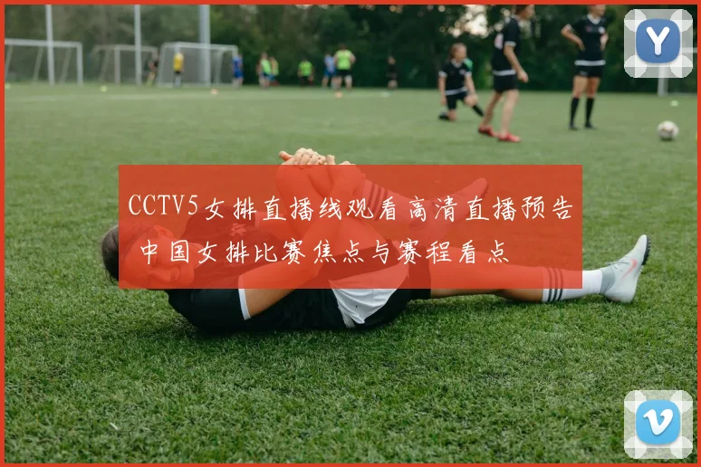 CCTV5女排直播线观看高清直播预告 中国女排比赛焦点与赛程看点