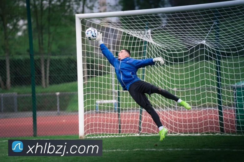 App Interface Preview